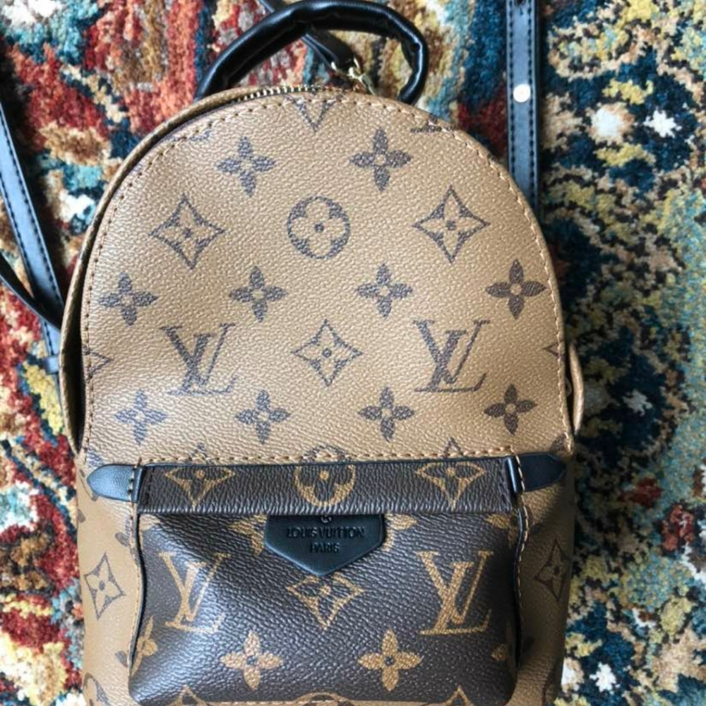 Louis Vuitton mini palmspring backpack